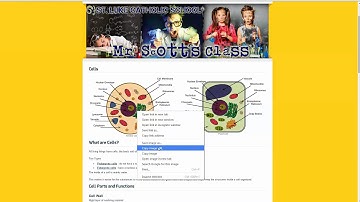 BeQRious QR Generator