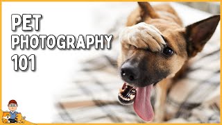 The Art of Pro Pet Photography (creating memories to last a lifetime) by Our Pets Health 164 views 4 months ago 26 minutes