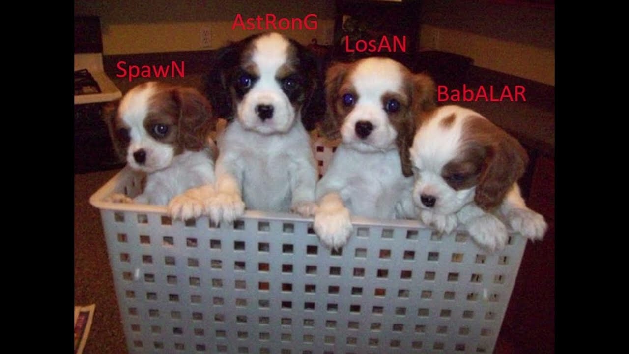 Ölme Ha! v2 (www.rina-roleplay.com) #rina