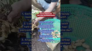 Fakta psikologi tentang kepribadianmu