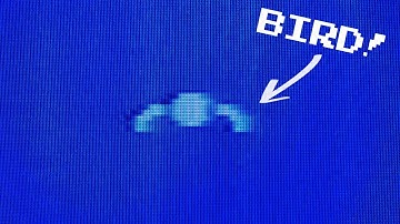 The Bird - C64 Retro Programming