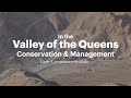 In the Valley of the Queens: Conservation & Management