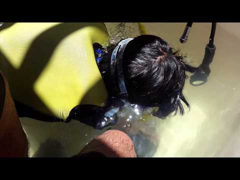 Alfie's First Dive