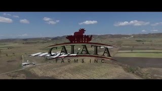 Calata Farms Inc. - Nucleus Farm