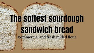 The softest sourdough sandwich bread (regular and fresh milled flour!)