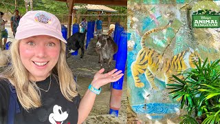 Disney's Animal Kingdom: Com Tico e Teco., Disney's Animal …