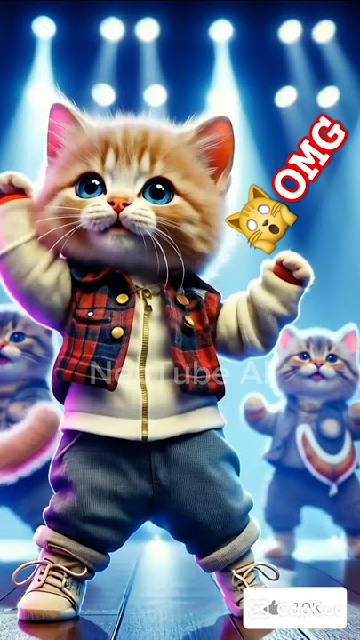 13 😻😼❤ kitten #shorts #cat #lovecats #cats #catvideos #kittens #catlover #princesscat #kitten