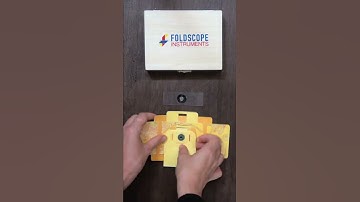 Foldscope at Home: Onion Cell