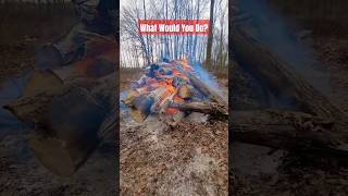 Splitting Firewood Is Dumb! #firewood #fire #bonfire