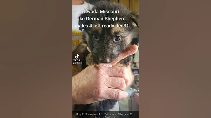 Michelle Mize on fb or Mize Farm