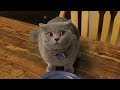 ПРИКОЛЫ С КОТАМИ ТОПовая подборка 2018Best Funny Cats Videos Compilation Try Not To Laugh