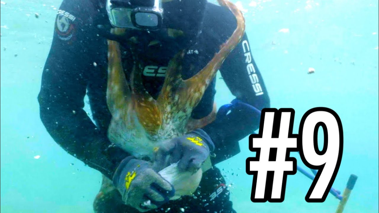 10-Day Extreme Survival Challenge: I Finally Caught a Massive