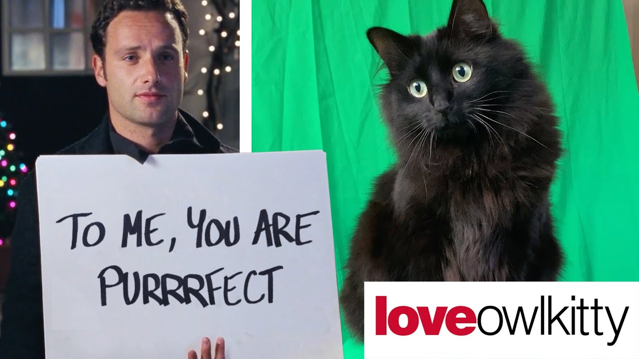 Love Actually with a cat (Behind the Scenes) - YouTube