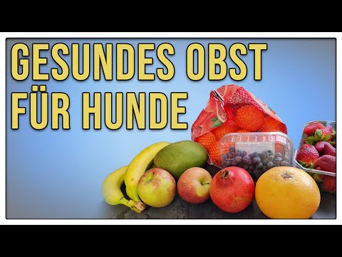 Video: Schlechteste Obst und Gemüse für Hunde