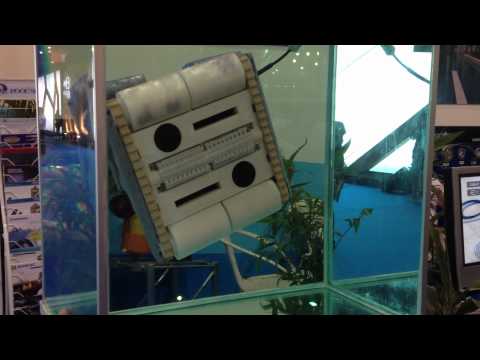 DOLPHIN M5 - Automatic Robot Pool Cleaner in the Tic-Tack Tank