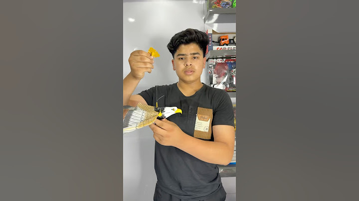 New model rc bird unboxing and testing