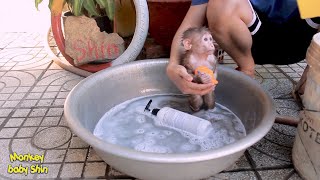 Monkey Baby Shin Bathes With A New Friend Nemo