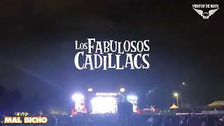 Los Fabulosos Cadillacs / Mal Bicho