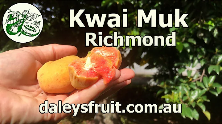 Kwai Muk   Richmond