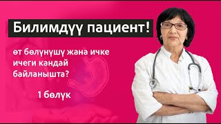 видео: Өт бөлүнүшү жана ичке ичеги кандай байланышта экенин жөнөкөй тилд түшүндүүүрөт: функциялары, 1 бөлүк картинка: Өт бөлүнүшү жана ичке ичеги кандай байланышта экенин жөнөкөй тилд түшүндүүүрөт: функциялары, 1 бөлүк