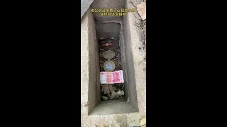 3x6ukh9vghmek96.mp4