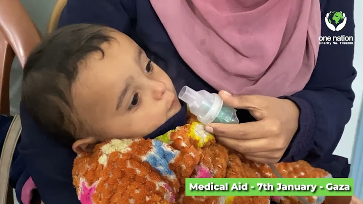 Gaza recap 6th to 11th January 2025