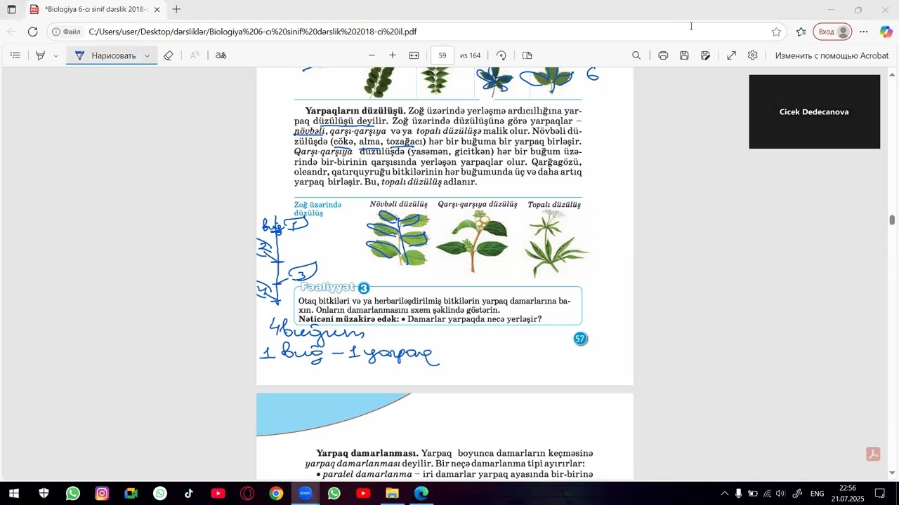 6cı sinif  Mövzu 19 yarpağın xarici quruluşu və düzülüşü
