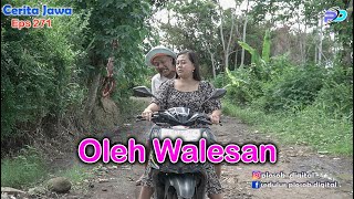 Oleh Walesan  Eps 271  Cerita Jawa
