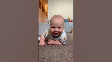 baby crawling 🎥 olliejamesfaulds
