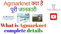 Agmarknet - Agricultural Marketing Information Network - Details - Explained - In Hindi