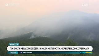 Για ένατη μέρα συνεχίζεται η μάχη με τη φωτιά στη Κόνιτσα - Κάηκαν 6.000 στρέμματα | Αταίριαστοι