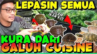 LEPASIN SEMUA KURA DARI GALUH CUISINE KE KOLAM | IKAN KOI GUE DI MAKAN !!