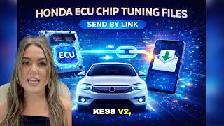 Ecu Chip Tuning Files Pack Compatible With Alfa, Audi, Bmw, Vw, Mercedes, Ford More