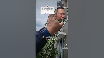 Thumbnail of ventilasi kamar mandi tanpa exhaust