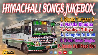 Bheda Teriyaan O | ड्राइवर अमर सिंघा ओ | Latest himachali song 2024 #lovehimachal #jukebox