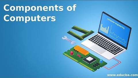 Components of computer | ICT Fundamental |class 6th computer science | chapter 1 lecture 05.