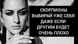 видео: Скорпионы🦂 Пока ты не придёшь к внутренней стабильности и уверенности, ты не начнёшь спокойно жить🕸🕷 картинка: Скорпионы🦂 Пока ты не придёшь к внутренней стабильности и уверенности, ты не начнёшь спокойно жить🕸🕷