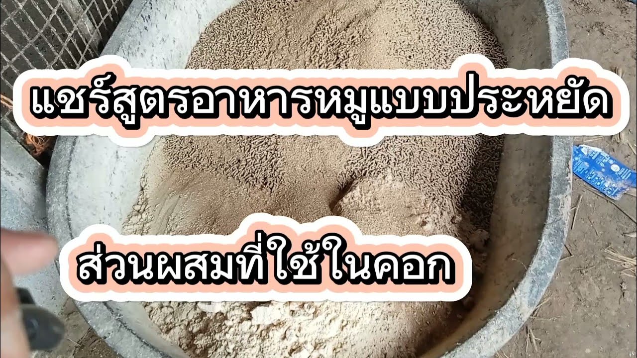 Поделитесь ингредиентами корма для свиней, чтобы сократить расходы. #Откорм свиней на продажу #Фо...