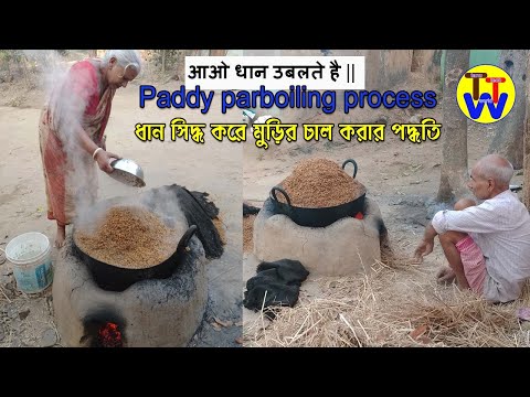 মুড়ির  চাল প্রস্তুত  পদ্ধতি ।।  ধান সিদ্ধ ।।Brown Rice Processing || Paddy parboiling process