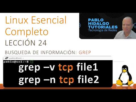 Linux Esencial Completo | Lección 24 | Búsqueda de información | grep