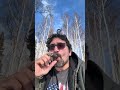 Sitting in the sunshine with a book and a cigar. #alaska #choresforkids