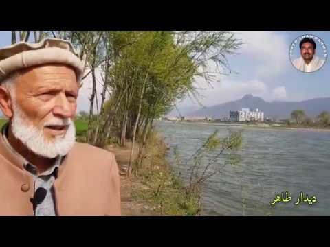 دیدار طاهر حد ترنم