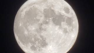 Harvest Supermoon September 2023 by Muon Ray 148 views 7 months ago 1 minute, 15 seconds