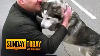 Watch: Dog Can’t Contain Its Excitement When Reuniting With Owner