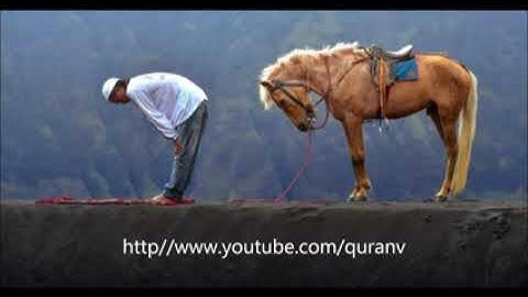 سورة يس ( ياسين ) 💚الشيخ    ماهر المعيقلي  تلاوة تشرح الصدر