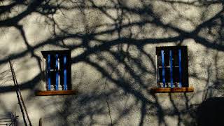 Famous Windows and shadows (Timelapse) Wealth