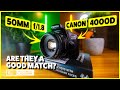 The cheapest dslr and cheapest lens combo  what are the photos like  2023  kaicreative