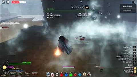 roblox exploiter :/ (project slayers)