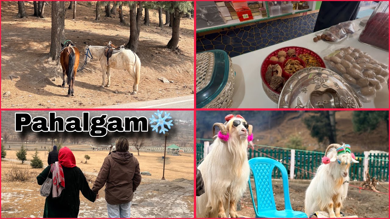 Travel Vlog Ep-3 Exploring Pahalgam | Kashmir Travel Vlog 