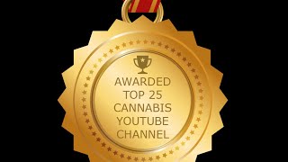 Thick Cannabis Oil Cartridge Filling and Chat